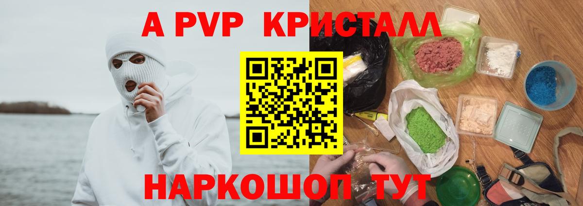 Alfa_PVP СК КРИС Обнинск