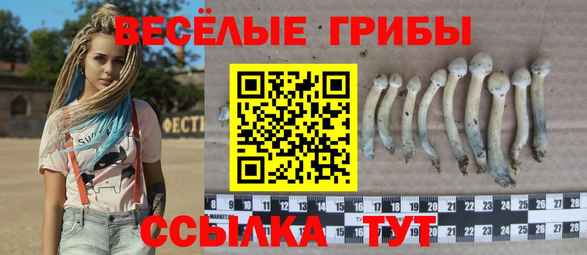 Псилоцибиновые грибы мухоморы  Псилоцибиновые грибы прущие грибы  Обнинск  Вход с VPN 